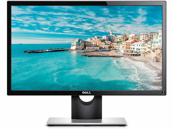 Dell SE2216H 