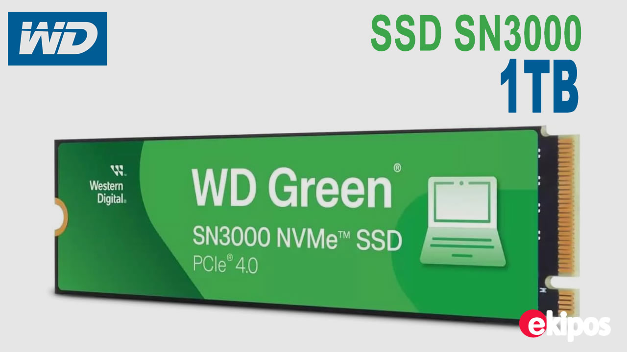 Western Digital SN3000 1TB              