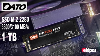 DATO Unidad interna de estado sólido SSD M.2 2280 PCIe Gen3x4 NVMe de 1 TB, hasta 3300/3100 MB/s, serie DP700Pro  